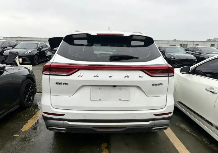Haval H6 2023 Model Guo Trendy Edition 1.5T Automatic Champion Edition – фото 5