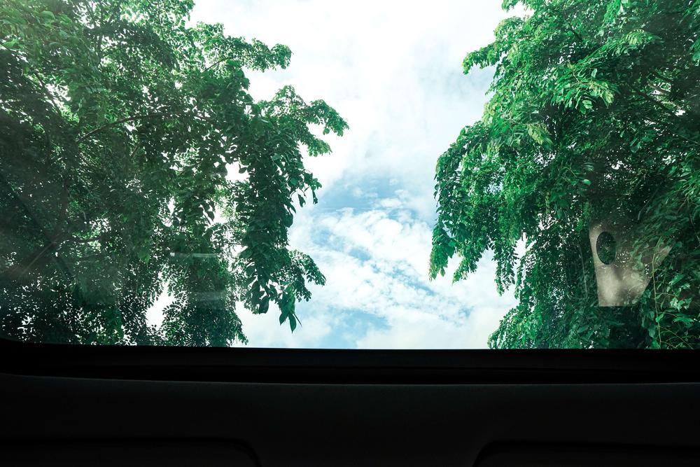 Li Auto L8 2023 Pro – фото 9
