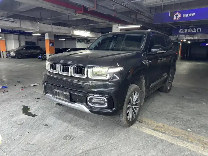 Beijing Off-Road BJ60 2022 Model 2.0T Automatic Eleventh Edition VII seat