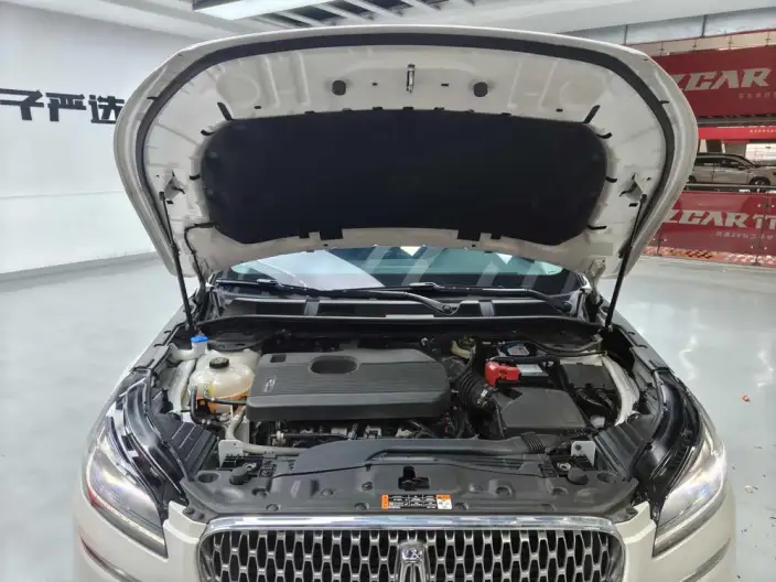 Lincoln Corsair 2022 Model 2.0T 2WD Zunya Edition – фото 10