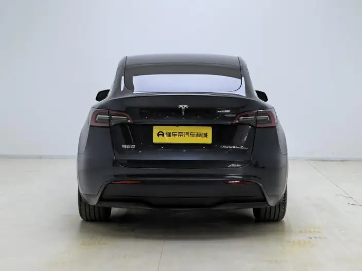 Model Y 2024 Model Rear-wheel drive version – фото 6
