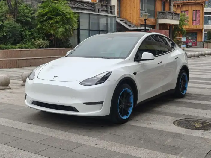 Model Y 2021 Model Facelift Long Battery Life Pro All-wheel drive version – фото 1