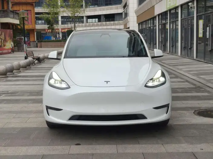 Model Y 2021 Model Facelift Long Battery Life Pro All-wheel drive version – фото 2