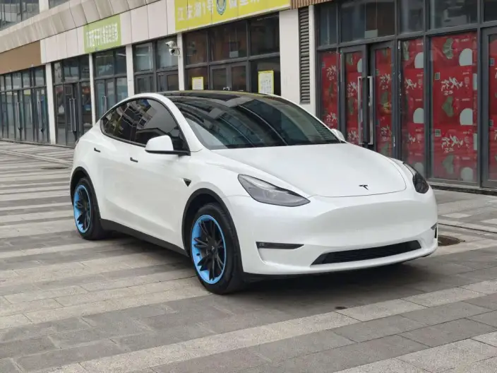 Model Y 2021 Model Facelift Long Battery Life Pro All-wheel drive version – фото 3