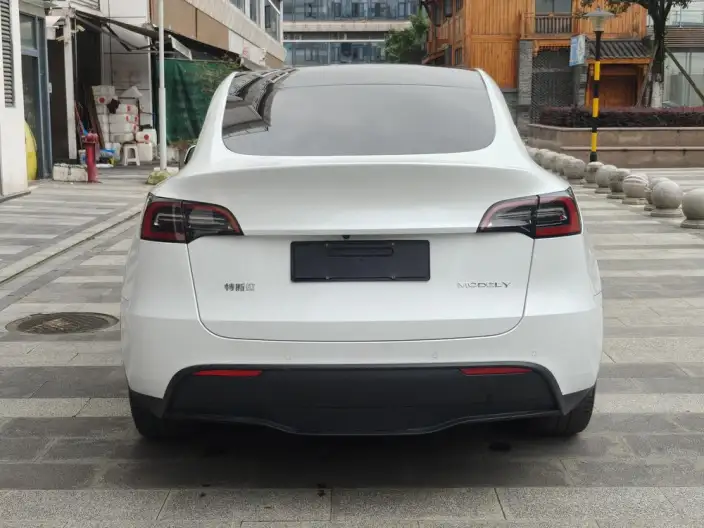 Model Y 2021 Model Facelift Long Battery Life Pro All-wheel drive version – фото 6