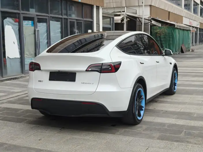 Model Y 2021 Model Facelift Long Battery Life Pro All-wheel drive version – фото 7