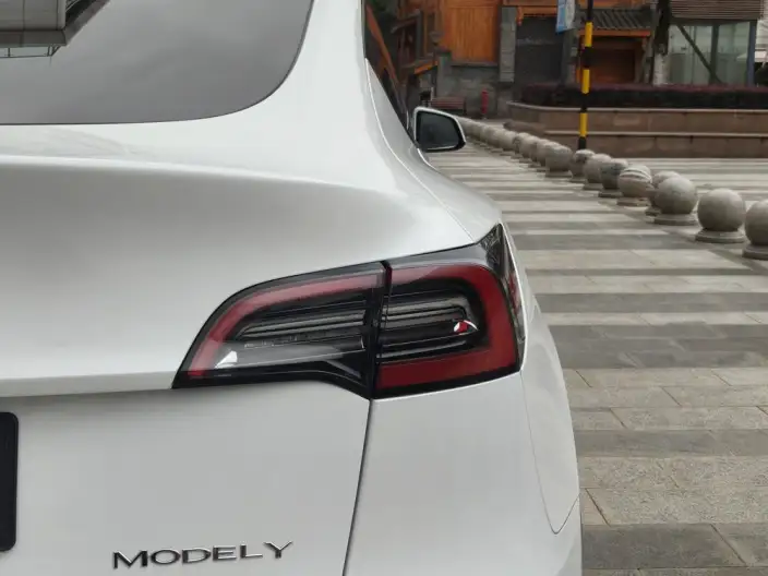 Model Y 2021 Model Facelift Long Battery Life Pro All-wheel drive version – фото 8