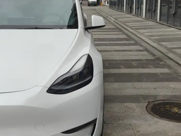 Model Y 2021 Model Facelift Long Battery Life Pro All-wheel drive version – фото 9