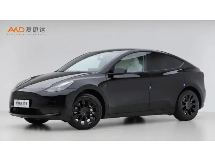 Model Y 2023 Model Rear-wheel drive version – фото 1