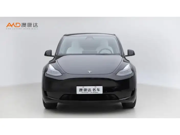 Model Y 2023 Model Rear-wheel drive version – фото 2