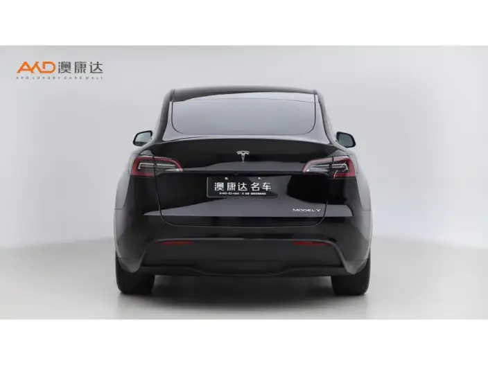 Model Y 2023 Model Rear-wheel drive version – фото 3