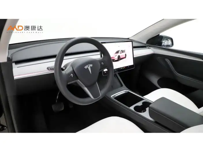 Model Y 2023 Model Rear-wheel drive version – фото 6