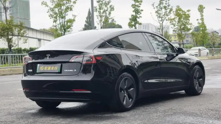 Model 3 2022 Model Rear-wheel drive version – фото 6