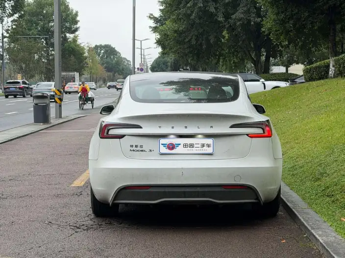Model 3 2025 Model Long Battery Life Pro All-wheel drive version – фото 5