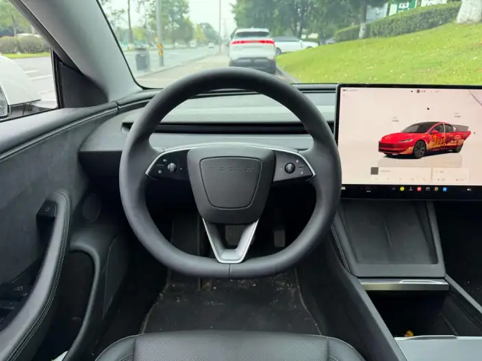 Model 3 2025 Model Long Battery Life Pro All-wheel drive version – фото 9