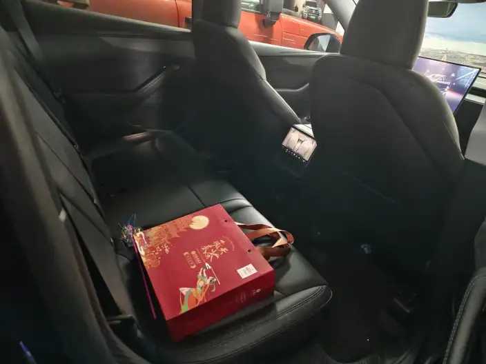 Model Y 2025 Model Long Battery Life Pro All-wheel drive version – фото 5