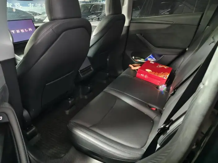Model Y 2025 Model Long Battery Life Pro All-wheel drive version – фото 8