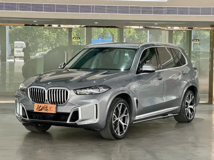 BMW X5 2023 Model xDrive30Li Exclusive Model M Sports Set – фото 1