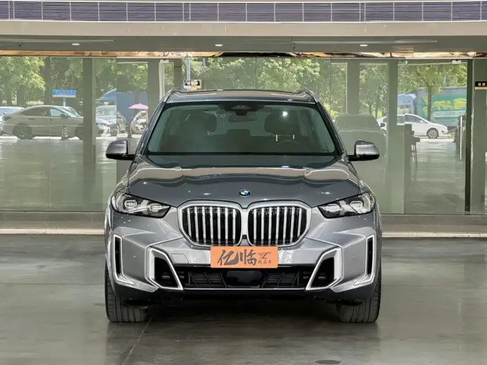 BMW X5 2023 Model xDrive30Li Exclusive Model M Sports Set – фото 2