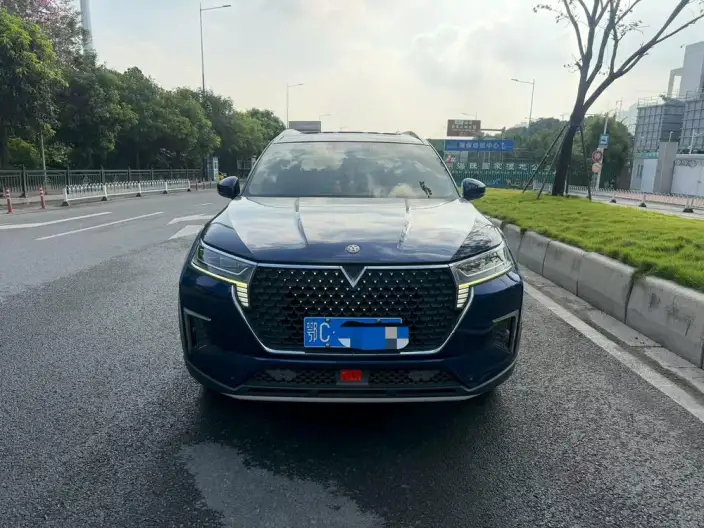 Qichen Star 2022 Model 260T 48V Mild Hybrid Boost Starlight Celebration Edition – фото 2