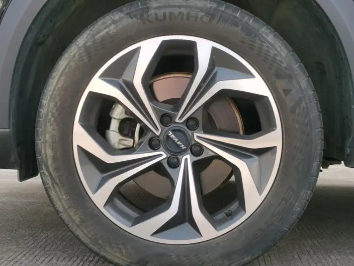 Haval Shenshou 2023 Model 1.5T Zhizun Edition – фото 9