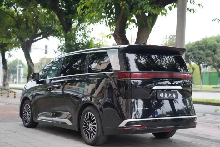 DENZA D9 DM 2023 Model 965 Exclusive Model – фото 5