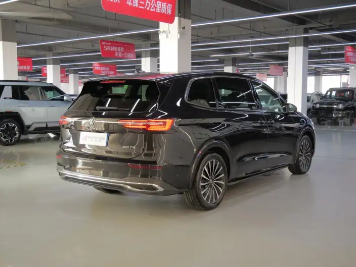 Viloran 2024 Model 380TSI Premium Edition – фото 7