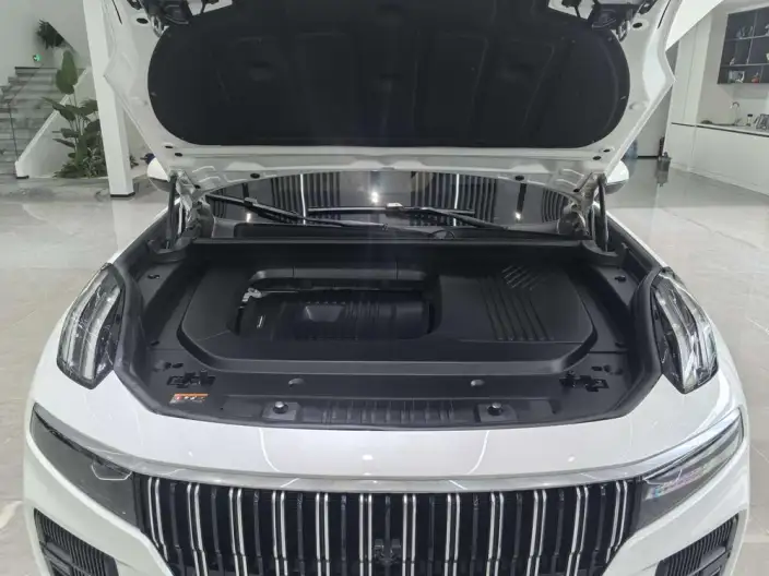 Lynk & Co 09 2024 Model 2.0T 4WD Global Edition – фото 10