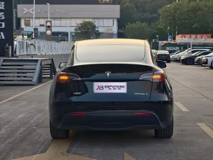 Model Y 2023 Model Rear-wheel drive version – фото 5