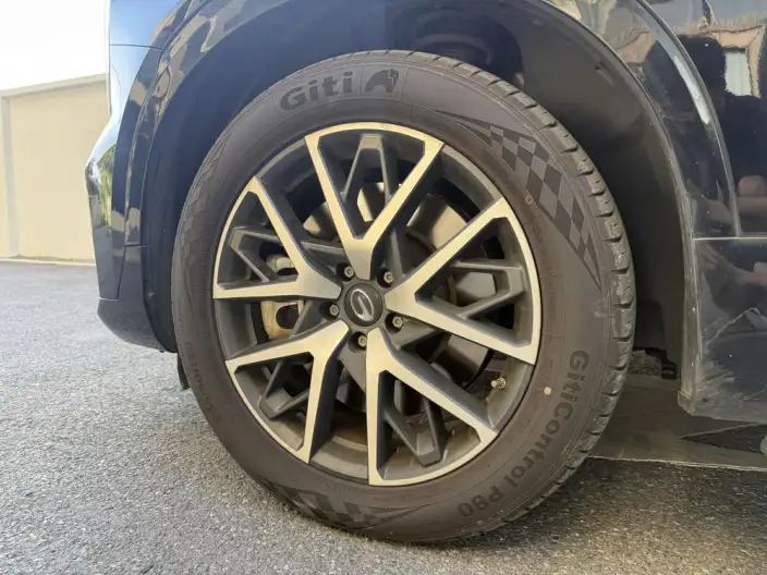 GAC ES9 PHEV 2024 Model 143km Pro – фото 8