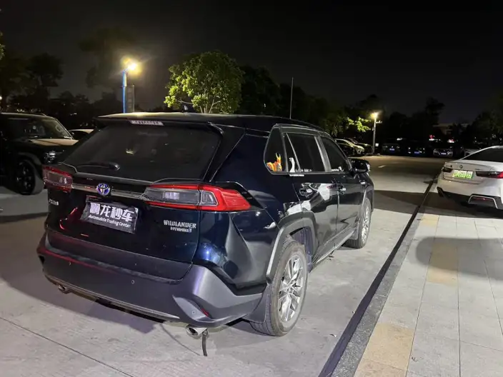 Toyota Wildlander 2022 Model Hybrid 2.5L 2WD Luxury PLUS Edition – фото 5