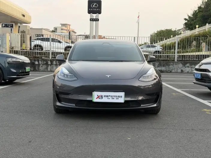 Model 3 2022 Model Rear-wheel drive version