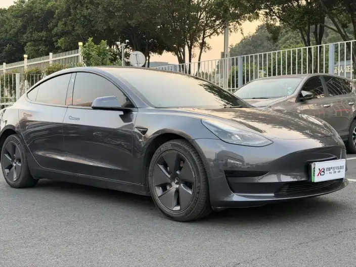 Model 3 2022 Model Rear-wheel drive version