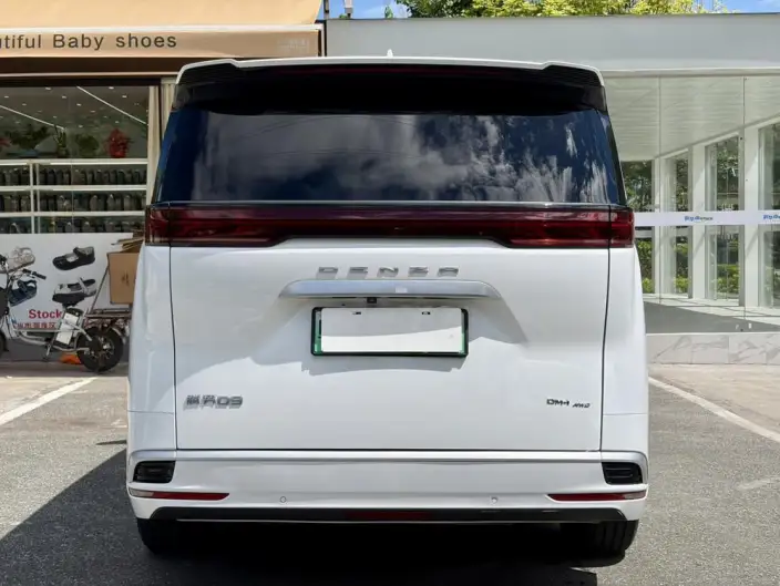 DENZA D9 DM 2022 Model 1040 Noble Model – фото 6