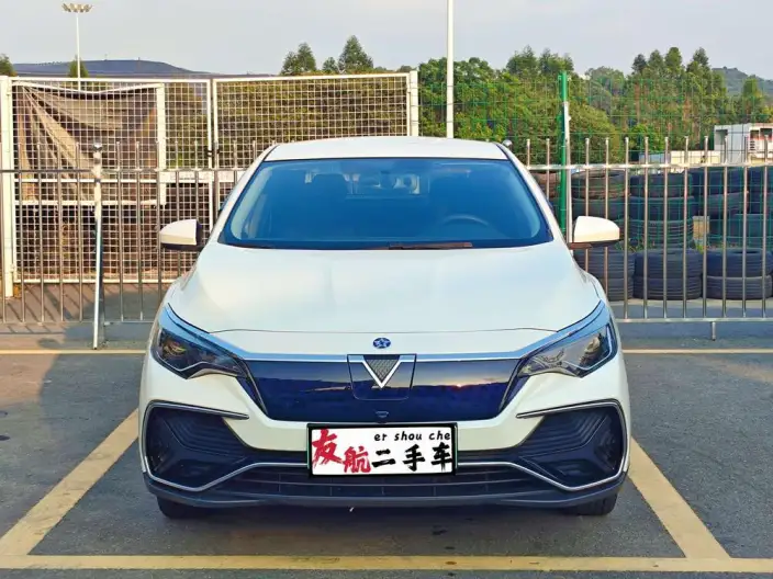 Venucia D60 EV 2022 Model PLUS RJ Model Comfort Edition – фото 2