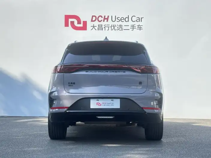 BYD Tang DM 2025 Model DM-i 115KM Zunrong Model