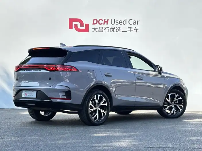 BYD Tang DM 2025 Model DM-i 115KM Zunrong Model