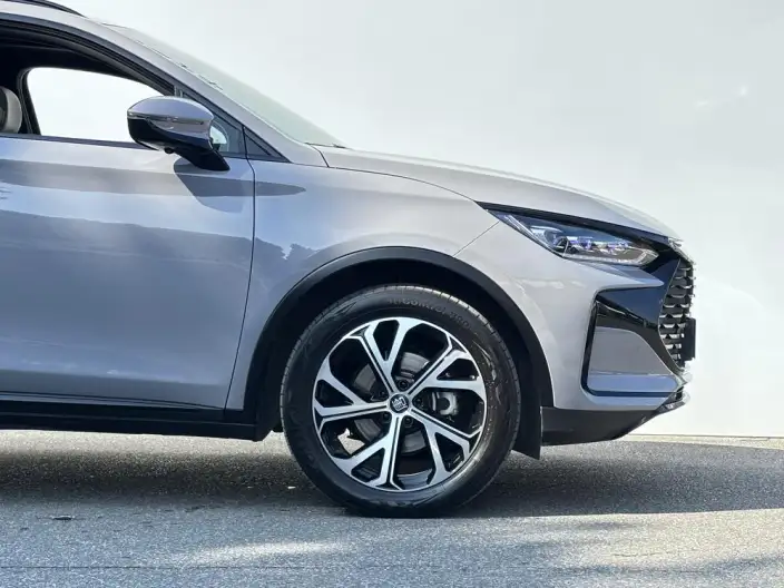 BYD Tang DM 2025 Model DM-i 115KM Zunrong Model – фото 6