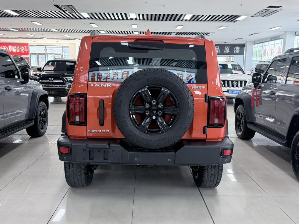 Great Wall Tank 300 2021 Off-Road 2.0T Conqueror – фото 5