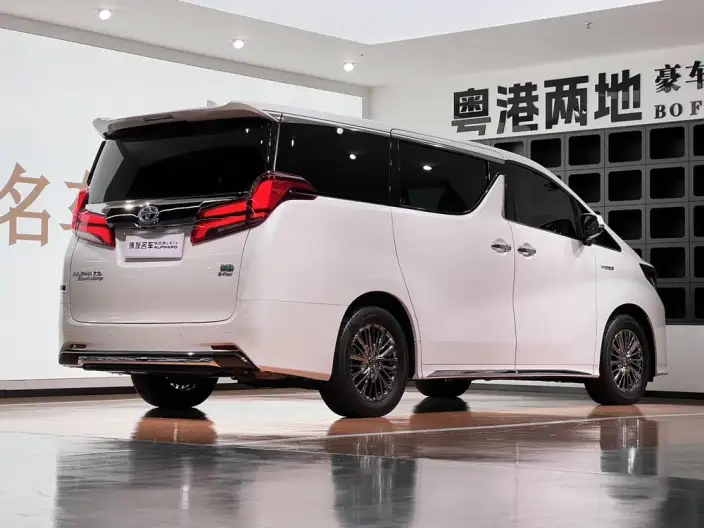Elfa 2022 Model Hybrid 2.5L Zhen Xiang · Gold Edition – фото 5