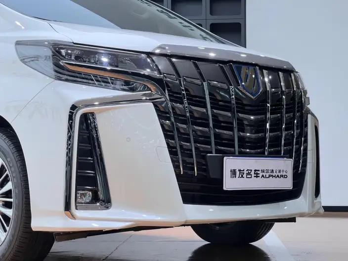 Elfa 2022 Model Hybrid 2.5L Zhen Xiang · Gold Edition – фото 9