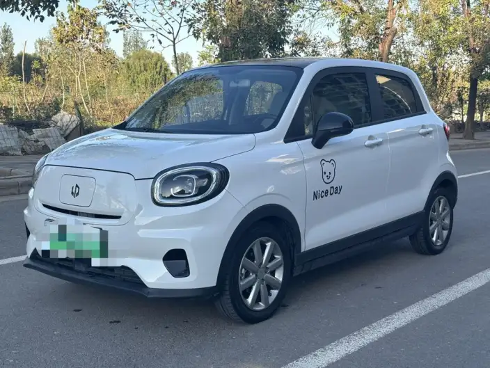 Leapmotor T03 2022 Model Shine Jin Edition