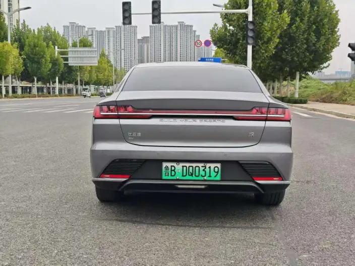 BYD Han EV 2020 Model Ultra-long Endurance Noble Model – фото 5