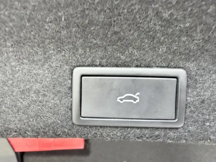 Volkswagen Magotan PHEV 2022 Model Luxury Model – фото 8