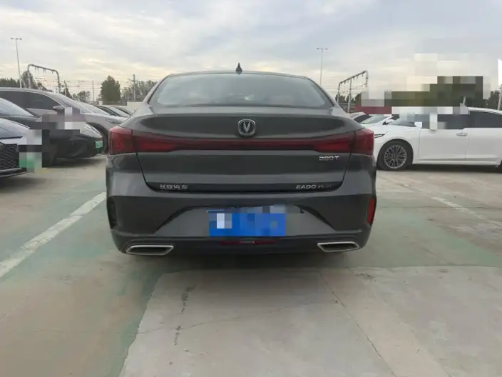 Changan Eado 2022 Model PLUS Blue whale NE 1.4T GDI DCT Noble Model