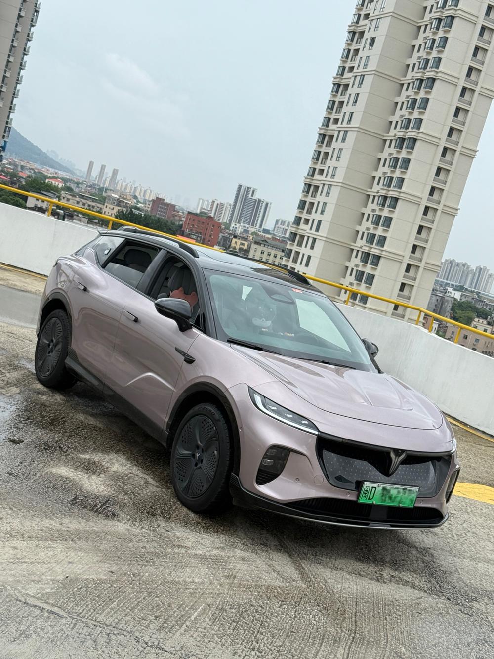 VOYAH Zhiyin 2024 AWD Global Edition