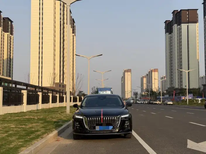Hongqi H5 2025 Model 2.0T Automatic Flag Enjoy Edition