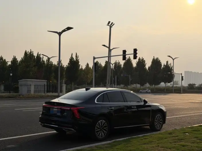 Hongqi H5 2025 Model 2.0T Automatic Flag Enjoy Edition – фото 5