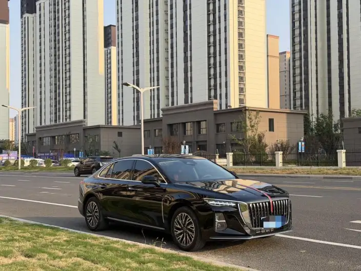 Hongqi H5 2025 Model 2.0T Automatic Flag Enjoy Edition – фото 6