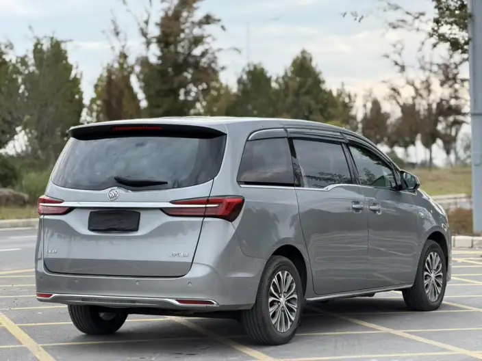 Buick GL8 2023 Model Business class 2.0T Comfort Model – фото 6